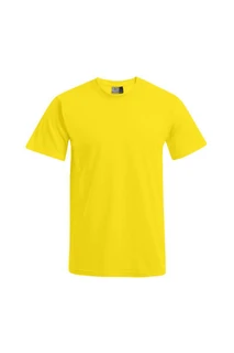 Men's Basic-T
