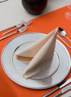 Ubrousek Arezzo Classic 50 x 50