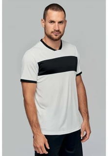 Pánské Triko PA4000