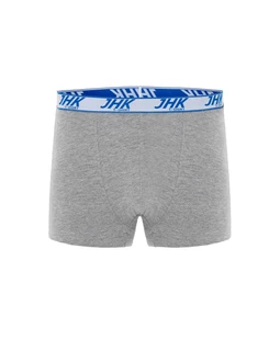 BOXER BRIEFS