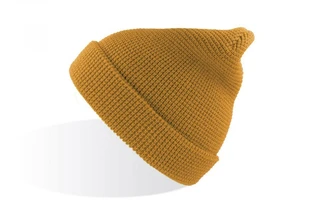 Blog Beanie